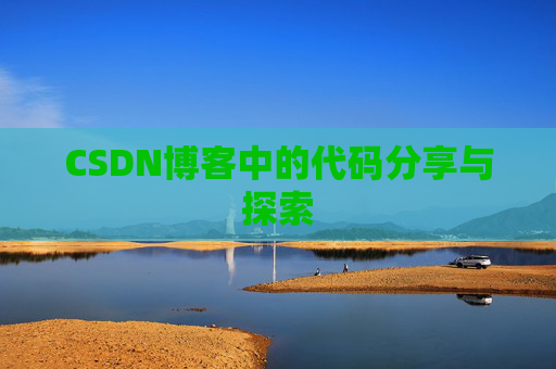 CSDN博客中的代码分享与探索